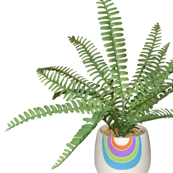 Artificial Potted Fern With Rainbow Design - Picture 3 of 5